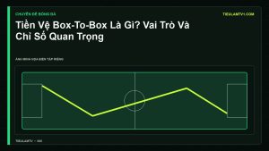 Minh họa Tiền Vệ Box-To-Box Là Gì? Vai Trò Và Chỉ Số Quan Trọng - Tiểu Lâm TV