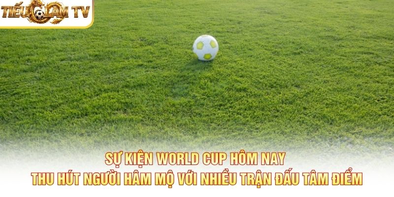 Sự kiện World Cup hôm nay thu hút người hâm mộ với nhiều trận đấu tâm điểm
