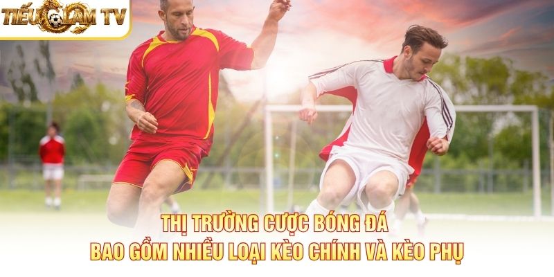 Thị trường cược bóng đá bao gồm nhiều loại kèo chính và kèo phụ