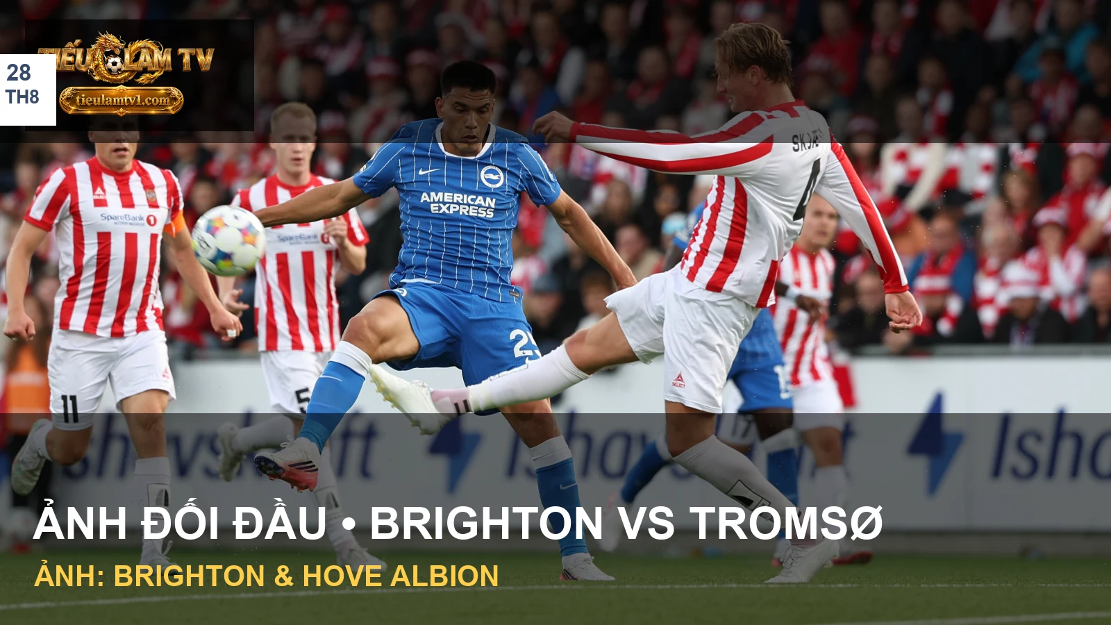 Cầu thủ Brighton tranh chấp với cầu thủ Tromsø