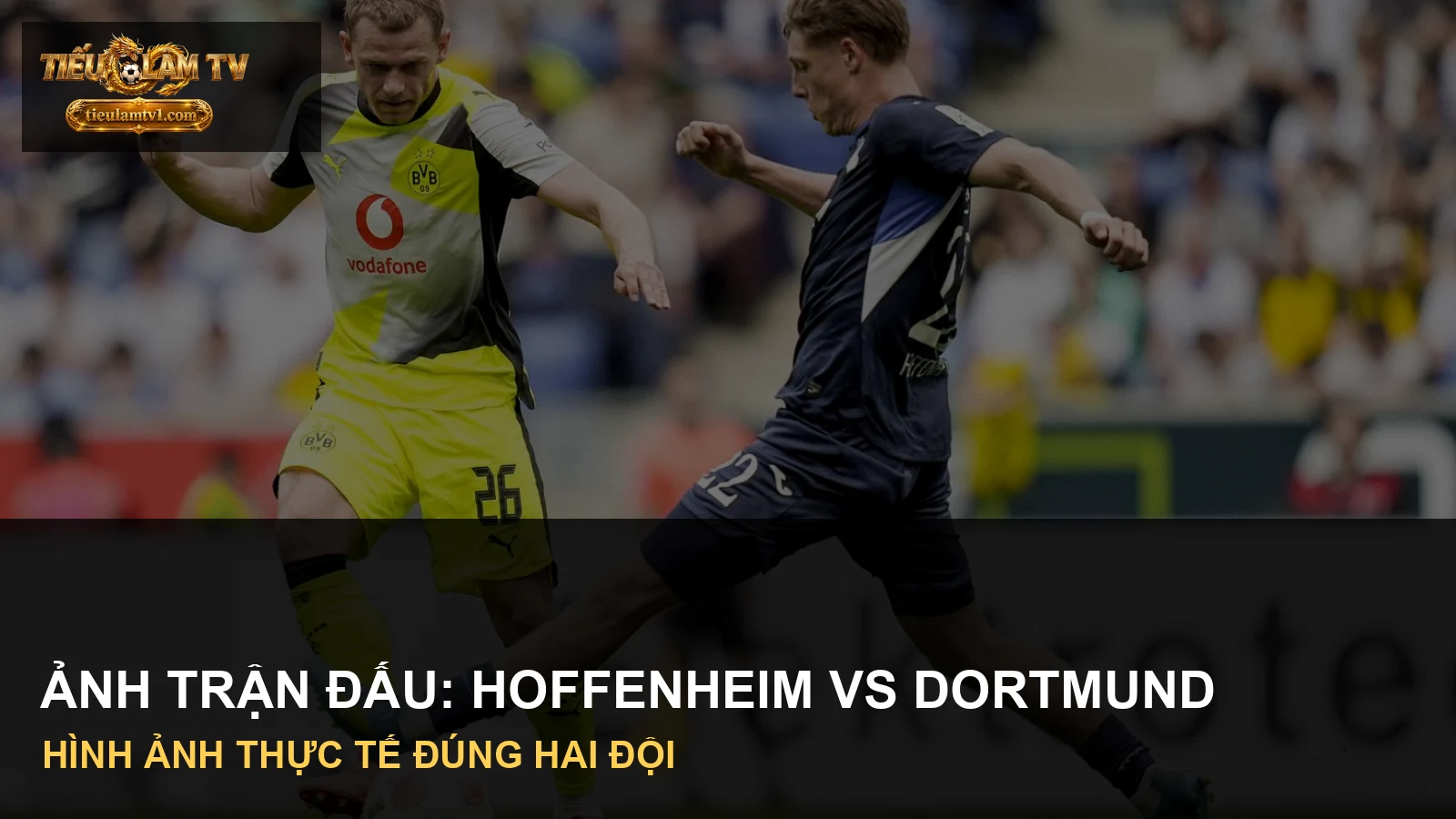 Cầu thủ TSG Hoffenheim vs Borussia Dortmund trong ảnh trận đấu thực tế