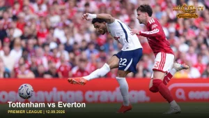 Tottenham vs Everton — ảnh cầu thủ trên sân