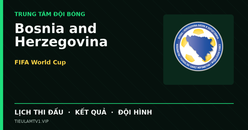 Đồ họa bóng đá Bosnia and Herzegovina tại FIFA World Cup