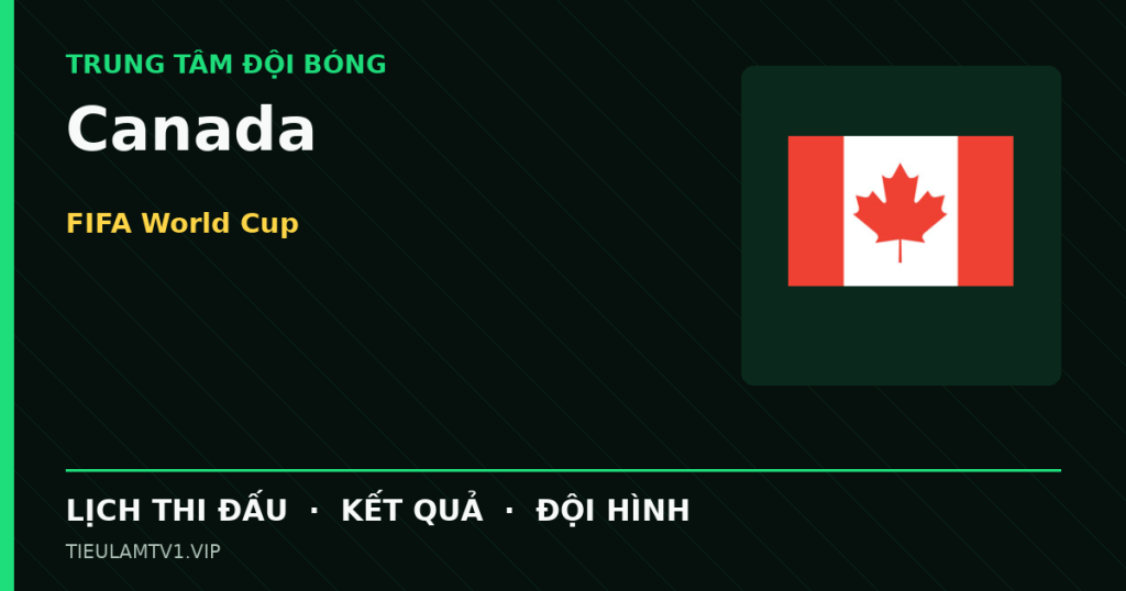 Đồ họa bóng đá Canada tại FIFA World Cup