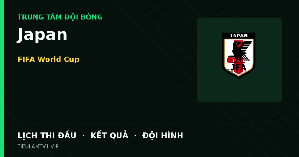 Đồ họa bóng đá Japan tại FIFA World Cup