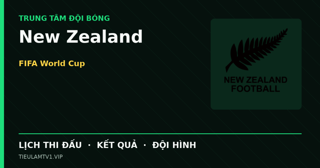 Đồ họa bóng đá New Zealand tại FIFA World Cup