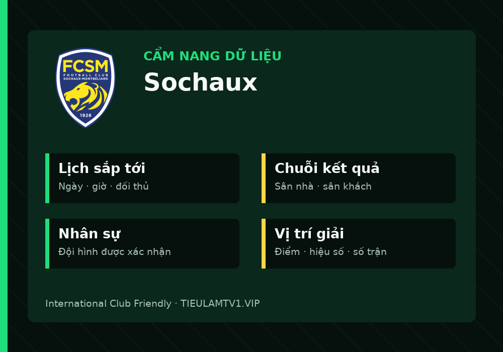 Phân tích phong độ và lối chơi Sochaux